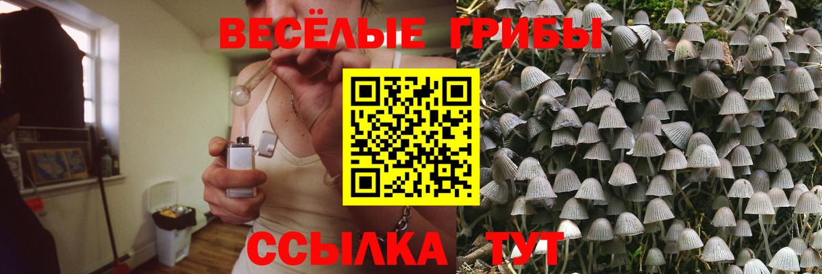 продажа наркотиков  Псилоцибиновые грибы мухоморы  Вход с VPN  Корсаков 